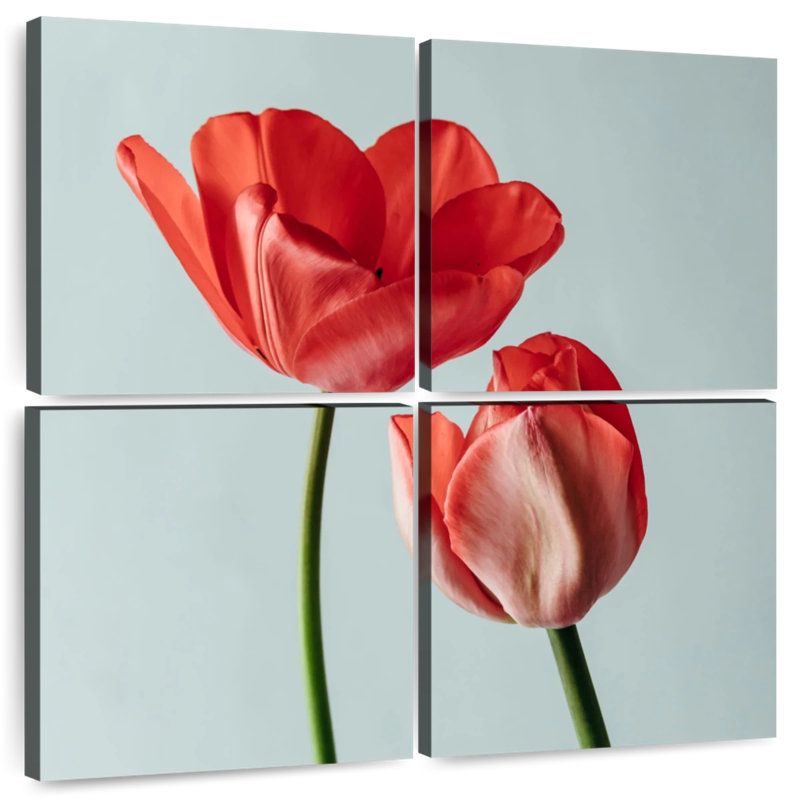 Harnek Lovely Red Tulips, 74" H x 74" W