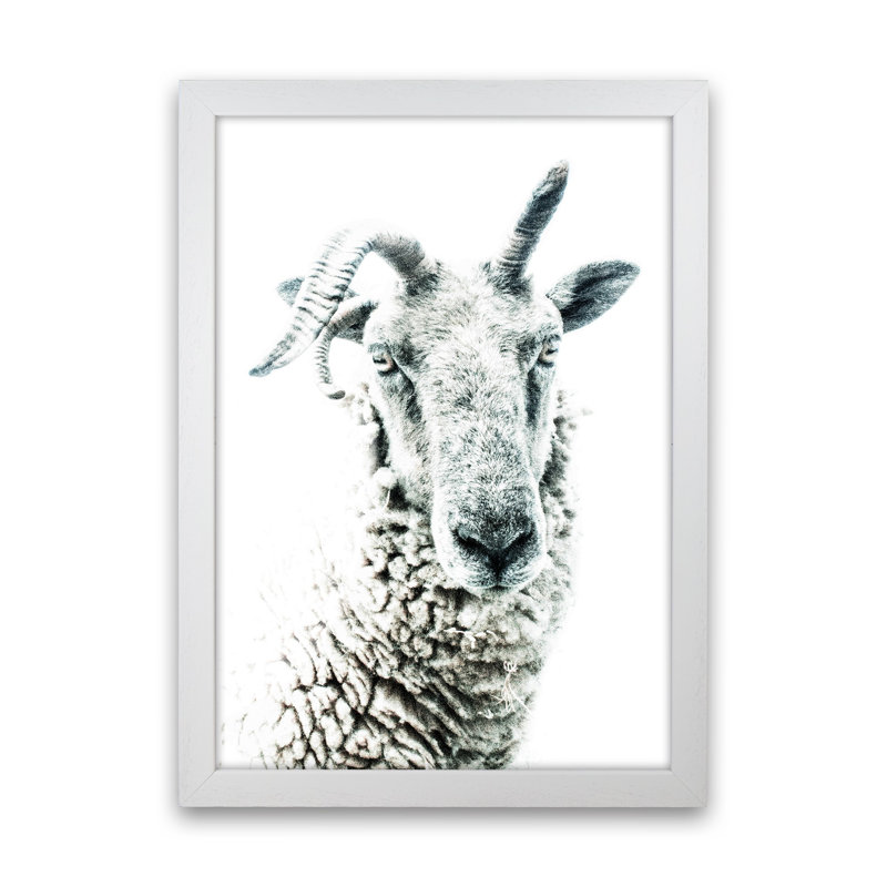Sheep by Victoria Frost - Print, 63cm H x 46cm W x 3cm D, White Framed
