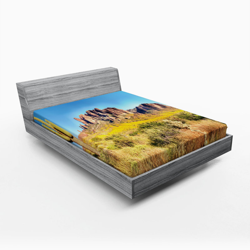 Drap-housse saguaro, Drap-housse de taille double