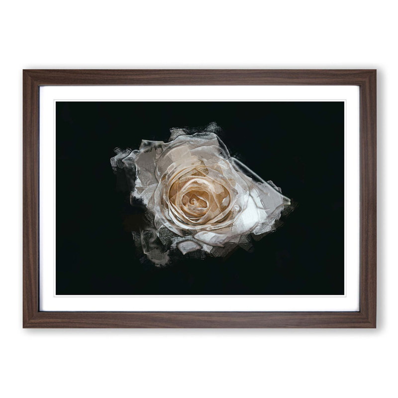 A White Rose in Abstract - Picture Frame Graphic Art Print, 36cm H x 48cm W x 2cm D, Walnut Framed