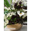 Bouquet de fleurs artificielles haut de gamme pour le salon et le décor de table