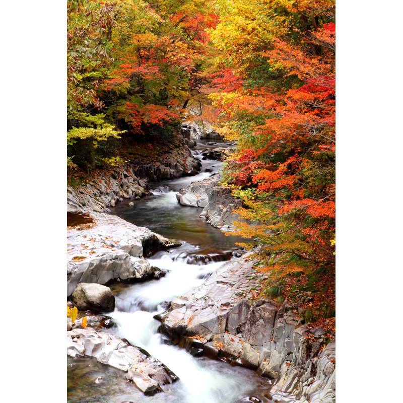 Bridgman Autumn Colours of Valley 1 Piece Wrapped Canvas Wall Art, 91cm H x 61cm W x 3.8cm D