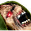 Zombies Haunted Hill Farm 4,4 pi