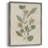 Pressed Arrangement III Framed Print - Solid Wood 49774-1770198781