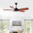 Reanda 57'' Ceiling Fan with LED Lights