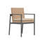 Terra Wicker Armchair with Cushion