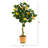 28 " H Faux Lemon Tree in Ceramic Planter