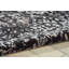 Tapis noir moderne Cannes-103356932