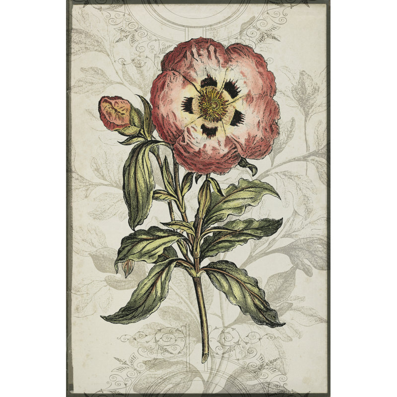 Keepsake Floral II by Jennifer Goldberger - Wrapped Canvas Graphic Art, 122 cm H x 81 cm W, Wrapped Canvas