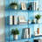 Transparent acrylic multi-layer display bookcase-870710494