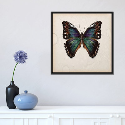 «Butterfly Study III», impression sur toile