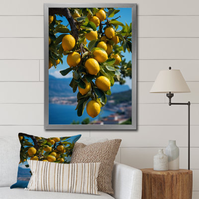 " Italy Sorrento Serenade II "