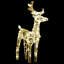 Indoor / Outdoor Holiday Lighting-1235403032