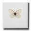 «Papillon blanc» par PhotoINC Studio-655522336