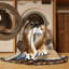  Tapis lavable Rocky Mountain Cougar Big Cats-329520472
