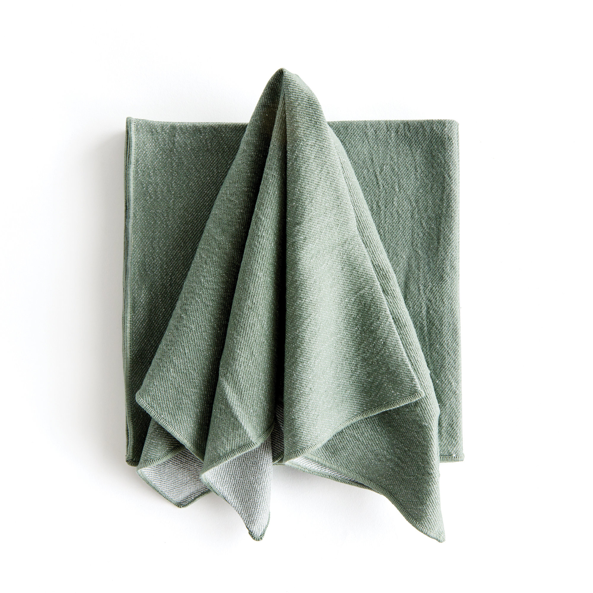 Olenna Feuille Cotton Dinner Napkins in Verdant Green, Solid, Solid Border