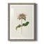 Mauve Garden Flowers V - peinture encadrée-1874087949-1874087990