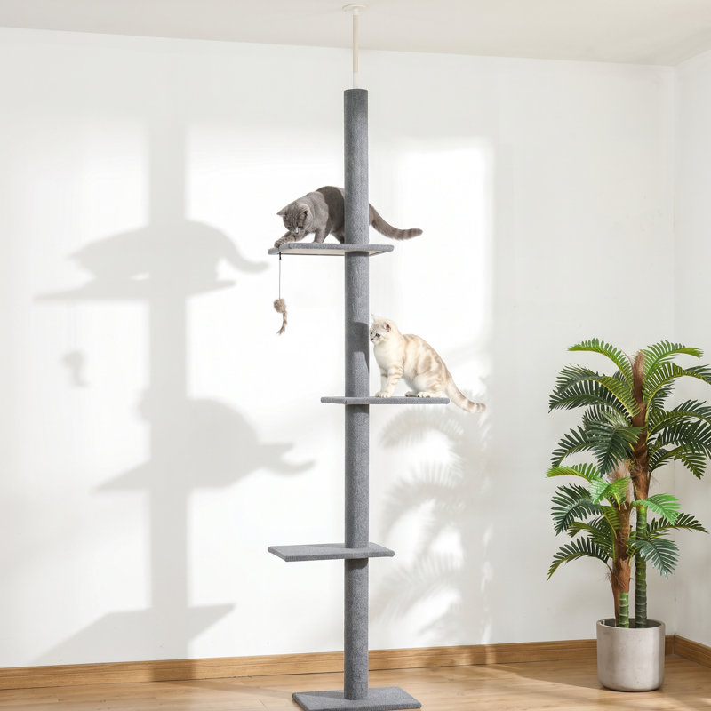 Arbre à chat, tour d'escalade du sol au plafond avec poteaux à griffes recouverts de sisal Centre d'activité naturel pour arbre à chat pour chat