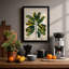 Variegated Specimen Botanical - Framed Print-1067819269-1067819273