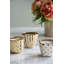 Bougies Bling - ensemble de 6 - 3 po de diamètre x 3 po - or