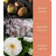 Alkinoi Room Sprays-206843479-206843819