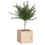 Boite à fleurs en boites-918889217-918889223