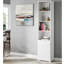 Damarr 216cm H x 50cm W Bookcase