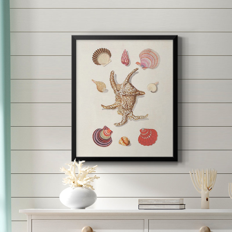 Toile de qualité supérieure Knorr Shells & Coral II - prête à être accrochée, Noir, H 20 po x l 16 po