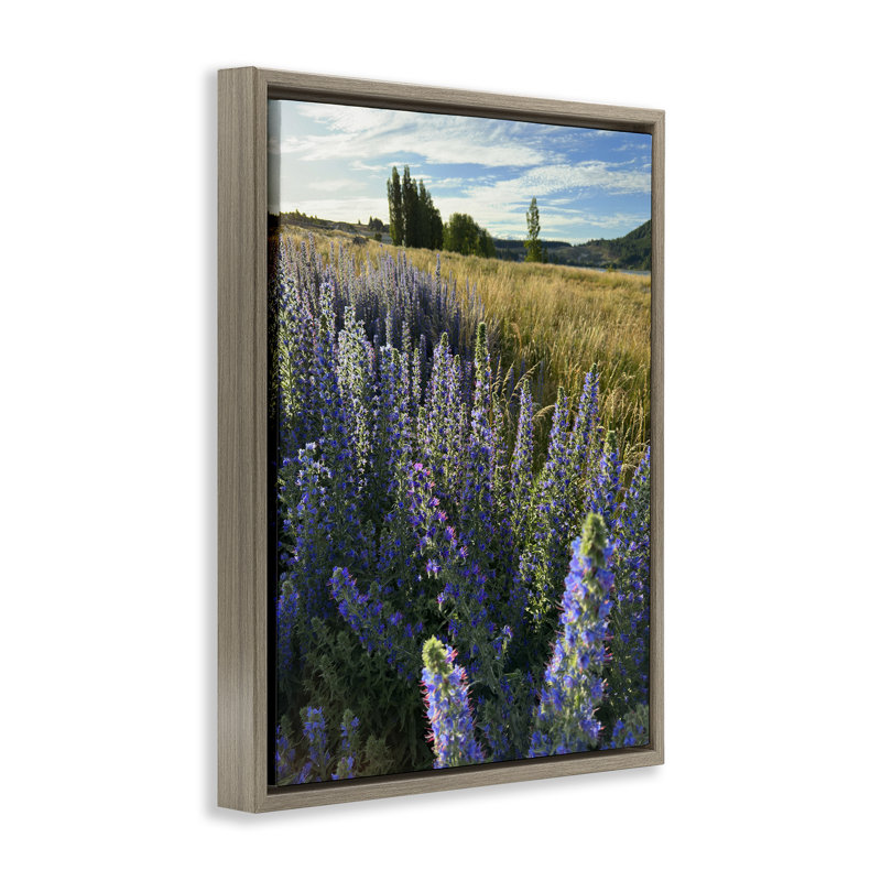 «Lavender Fields Landscape», art mural sur toile flottante par Kali Wilson, Cadre flottant orme Montalcino, H 31 po x l 25 po