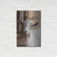 «Grey Goat» par Lori Deiter-1852760939