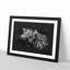 Leopard With Green Eyes High Paint Splash - Picture Frame Graphic Art-56865676-56865680