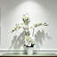 Vase Filler