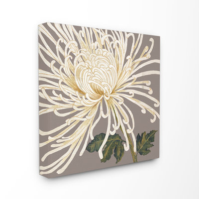 « white chrysanthemum », impression