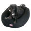 Traversin pour chien-1014587190-1014587146
