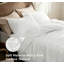 Bedding-131676389