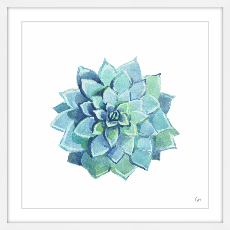 « echeveria blue star », reproduction de peinture à l’aquarelle encadrée, H 32 po x l 32 po x P 1,5 po
