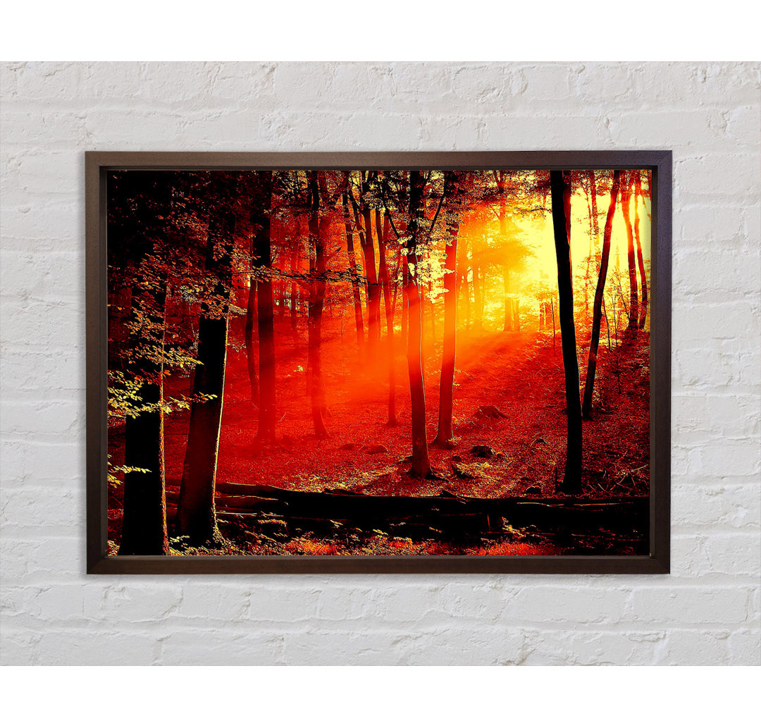 Red Woodland Beam - Einzelner Bilderrahmen Kunstdrucke auf Leinwand