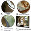 «Bronze Beauty Nautilus Vortex» sur toile-97044207-97044195
