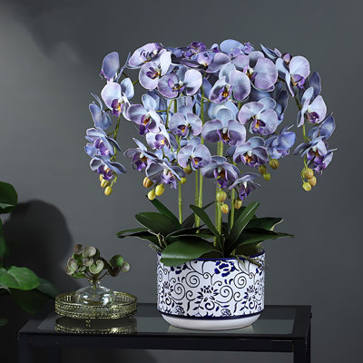 Orchid Arrangement