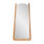 Woodard Parabola Oversized Mirror