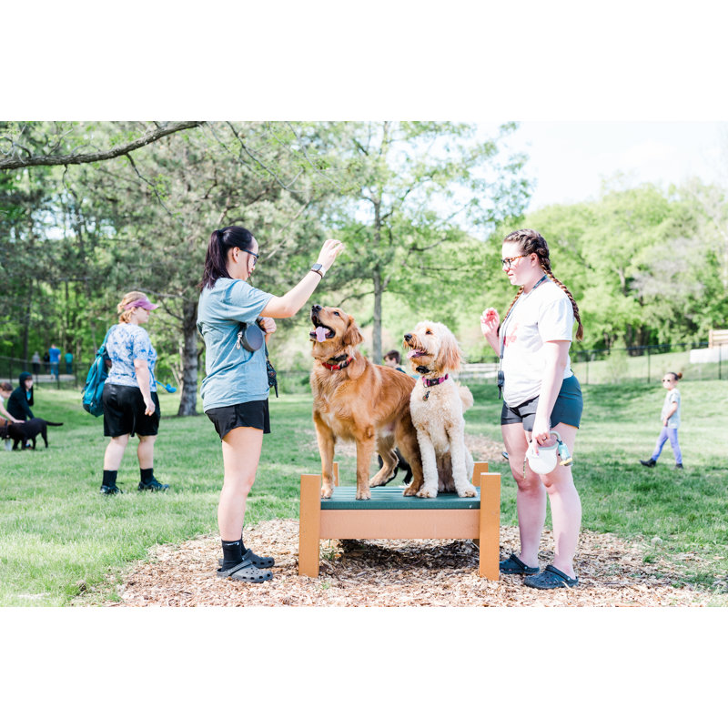 BarkPark 24'' H x 43'' W x 36'' D Plastic Dog Tabletop Grooming Table