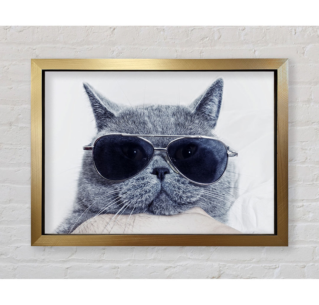 Kitty Cat Cool - Einzelne Bilderrahmen Kunstdrucke