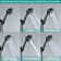Handheld Shower Head 2.0 GPM GPM