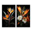2 pièces sur toile - Birds Of Paradise Paradise-2144983215-2144983217