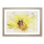 Bee Collecting Pollen Watercolour - Framed Print-56739652-56739656