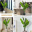 Artificial Olive Tree for Home Decor-112882159