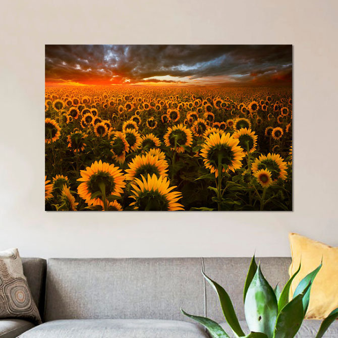 « echos of light », reproduction de photo sur toile, H 12 po x l 18 po x P 1,5 po, Toile tendue