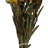 Plumosum Arrangement-94734889
