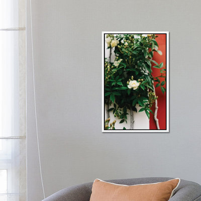 Positano Blooms I by Bethany Young - Print on Canvas