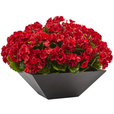 15in. Geranium with Black Planter UV Resistant (Indoor/Outdoor)